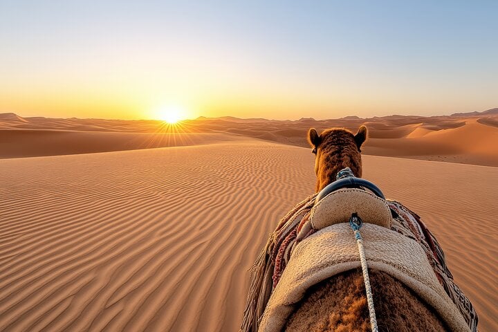 Red Dunes Morning Safari: Dune Bashing, Camel Ride and Quad Biking, photo 3