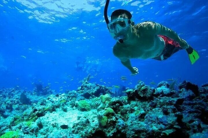 Snorkelling in Port City: Guided Session, photo 4