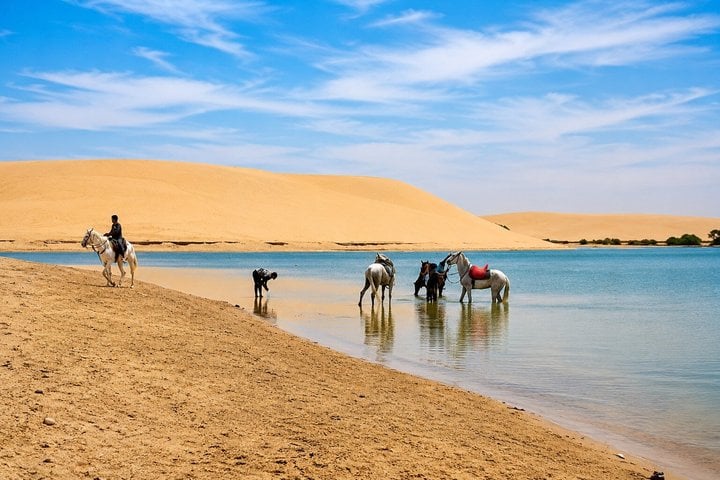 Horse Riding on Nabq Beach in Sharm El Sheikh, photo 4