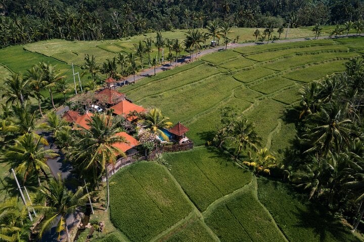 ATV Adventure with Fun Zone and Jungle Trails, photo 5