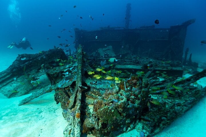 Scuba Diving in Colombo: Guided Wreck Dive, photo 2