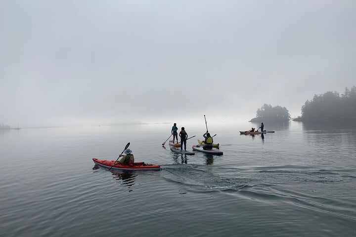 Paddling Esquimalt Harbour to Cole Island, photo 4