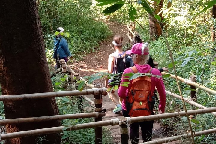 Morning Hiking at Doi Inthanon and Pha Chor Canyon, photo 2