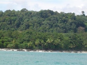 Snorkelling at Caño Island in Drake Bay, photo 2