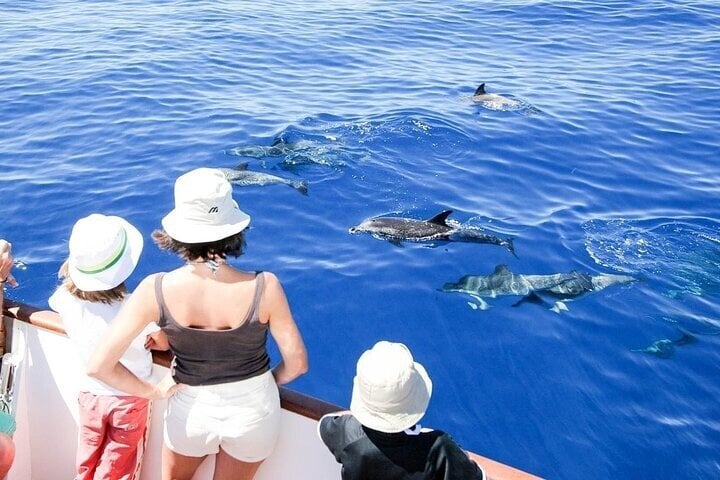 Dolphin House Snorkelling Day Trip by VIP Boat in Hurghada, photo 5