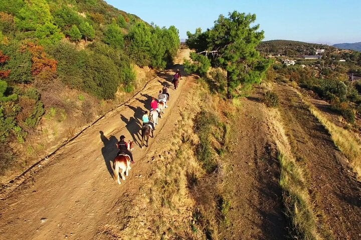Alanya Horse Riding Experience, photo 2