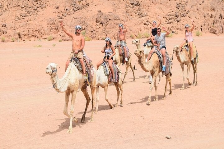 Quad Bike Safari and Camel Ride in Hurghada, photo 3