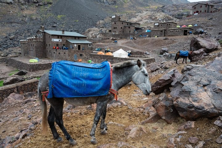 Atlas Mountains Hike from Marrakech with Three Valleys and Berber Lunch, photo 4