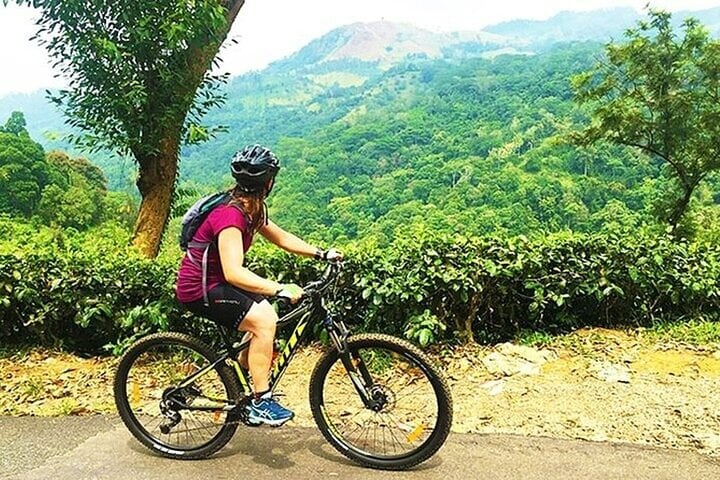 Mountain Biking around Tea Trails in Kandy, photo 2