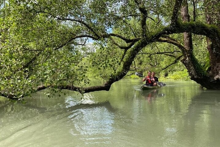 Langkawi Mangrove Kayaking Adventure, photo 4