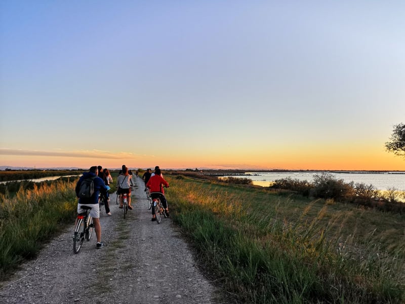 Sunset Flamingo Bike Tour in Comacchio Valleys, photo 2