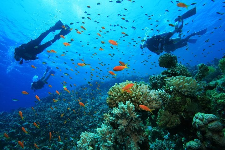 Alanya Scuba Diving and Snorkeling Trip, photo 4