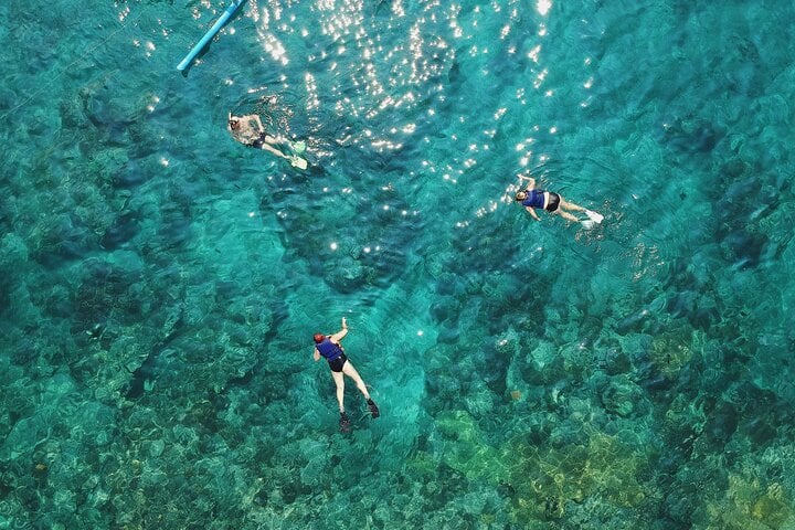 Blue Lagoon Snorkelling with Private Boat, Guide and Transfer, photo 5