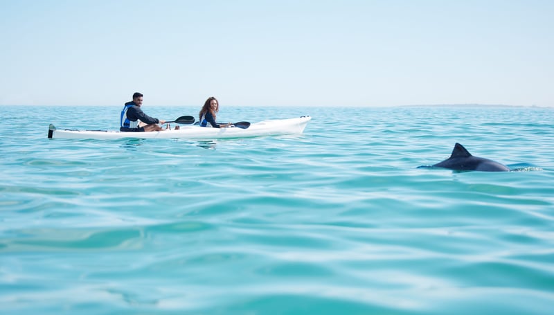 Sea Kayak Tour along Lima’s Coastline, photo 4
