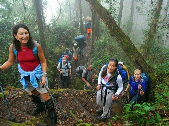 7 Day Kilimanjaro Climb via the Machame Route, photo 3