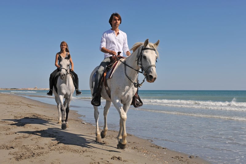 Horse Riding with Swimming Hurghada Tour, photo 3