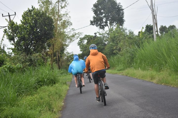 Private Ubud Cycling Tour through Rice Fields and Villages, photo 2