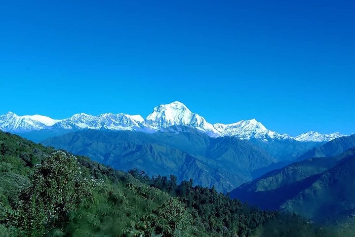 Poon Hill Trek, photo 4