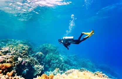 Fethiye Scuba Diving Experience with Two Dives, Lunch & Hotel Transfers, photo 4