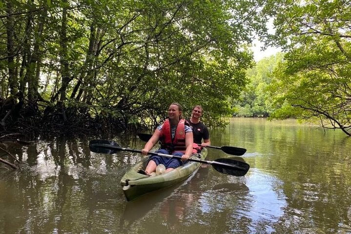 Langkawi Mangrove Kayaking Adventure, photo 5