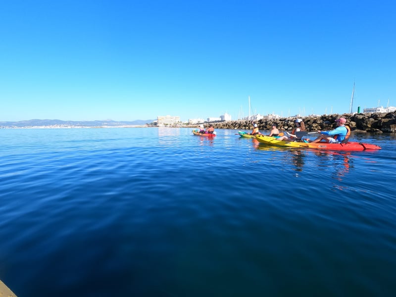 Kayak Tour Palma Bay - Can Pastilla, photo 4