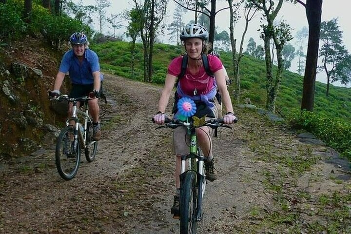 Mountain Biking around Tea Trails in Kandy, photo 3
