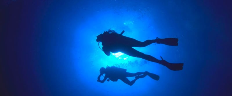 Scuba Diving Discovery in Paracas, photo 4