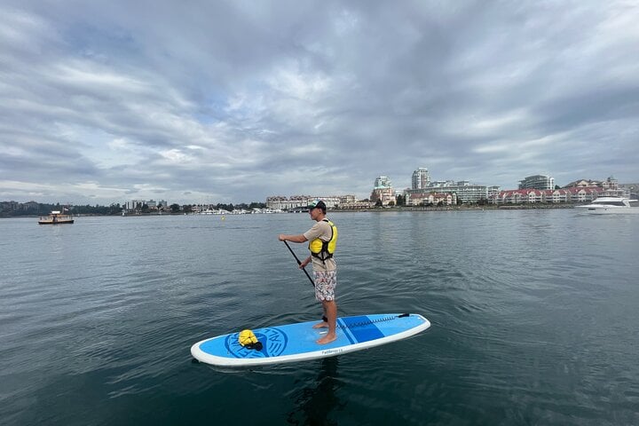 Paddling Inner Harbour Downtown Victoria, photo 2