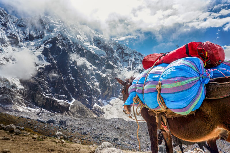 Salkantay Trek to Machu Picchu – 5 Days, photo 3