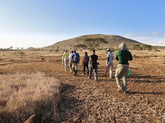 12 Day Grand Traverse Kilimanjaro Climb via the Northern Circuit, photo 3