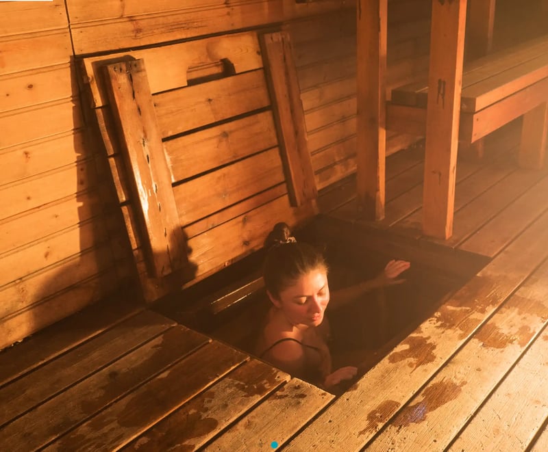 Wood-Fired Sauna with Ice Bath in Kiruna, photo 2