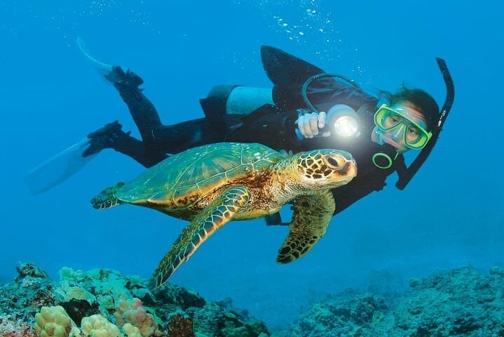 Alanya Scuba Diving and Snorkeling Trip, photo 2