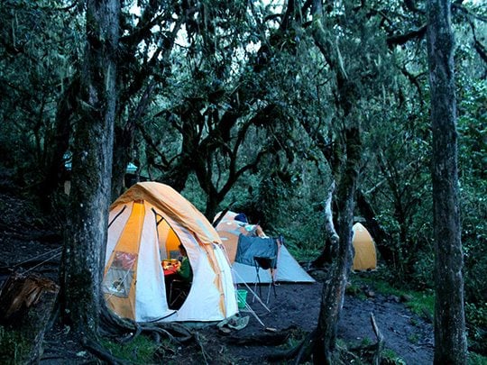 7 Day Kilimanjaro Climb via the Machame Route, photo 2