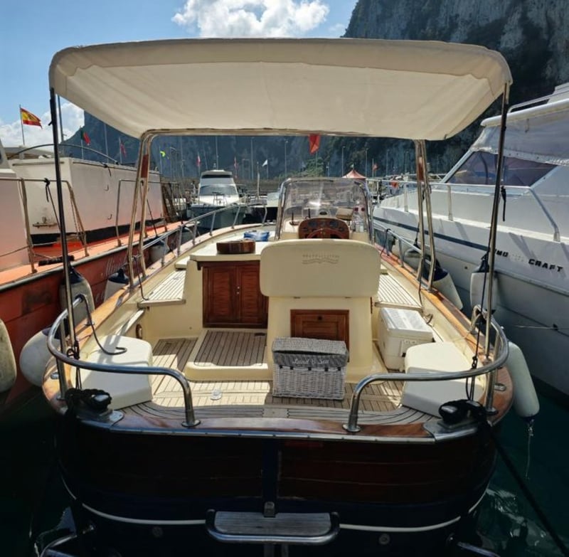 6-Hour Private Boat Tour in Capri, photo 5