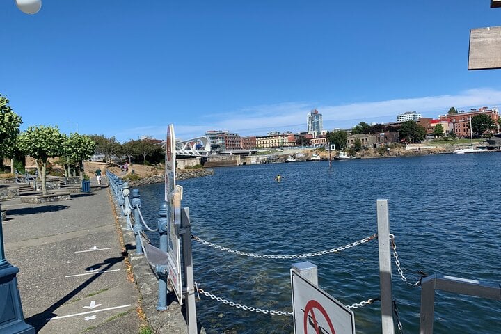 Paddling Inner Harbour Downtown Victoria, photo 5