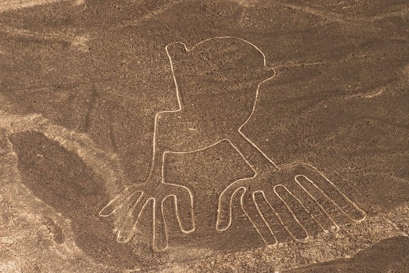Nazca Lines Scenic Flight from Nazca, photo 4