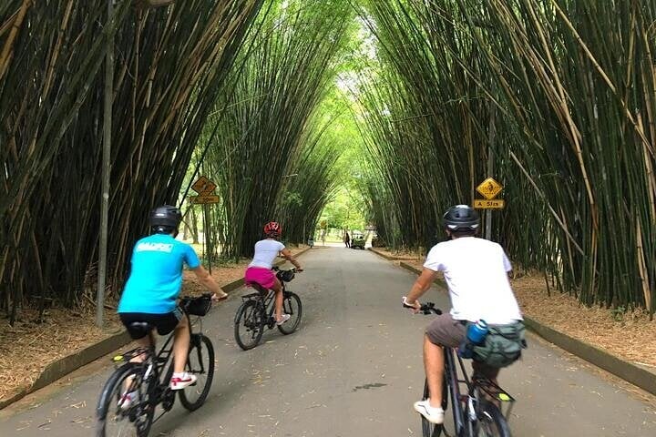 Bike Tour: Coolest Urban Scenes of Sao Paulo, photo 2