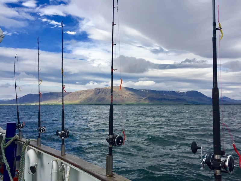 Sunset Fishing in Faxafloi Bay, photo 3