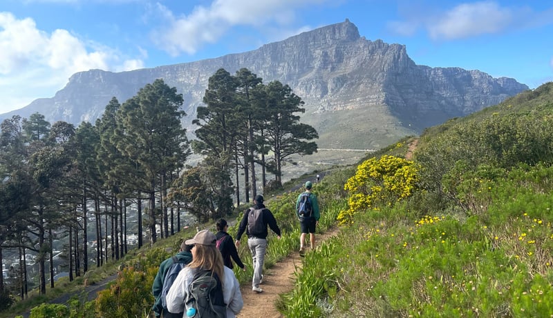 Mountain to Sea Walking Adventure on the Cape Town Coastline, photo 3