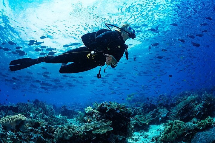 Scuba Diving in Trincomalee: Three Hour Guided Dive with Photos, photo 2