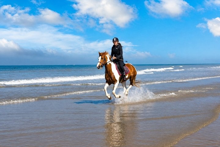 Horse Riding on Nabq Beach in Sharm El Sheikh, photo 5