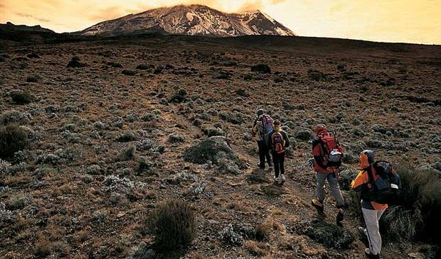 9 Day Kilimanjaro Climb via the Lemosho Route, photo 5