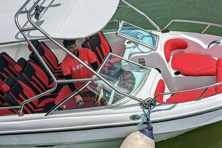 Whale Watching by Speed Boat in Mirissa, photo 3