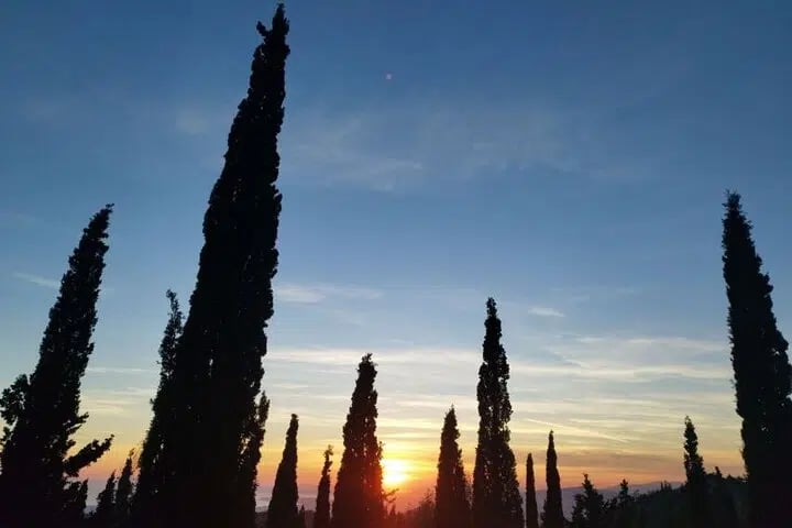 Athens Sunset Hymettus Mountain Hike, photo 4