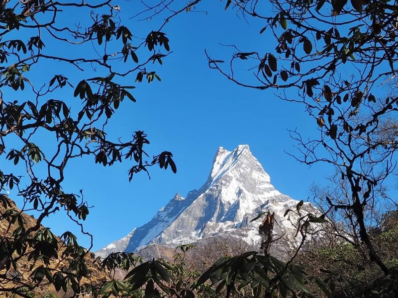 Annapurna Base Camp Trek with Kathmandu and Pokhara, photo 5