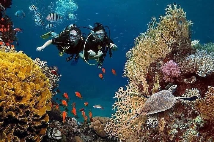 Kemer Scuba Diving and Snorkeling Trip, photo 4