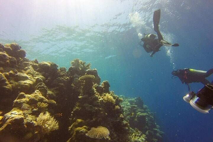 Scuba Diving in Pasikudah: Three Hour Guided Dive, photo 2