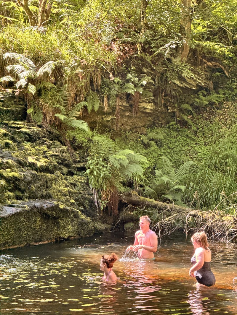 Hamsterley Forest Wild Sauna and Waterfall Swims, photo 5