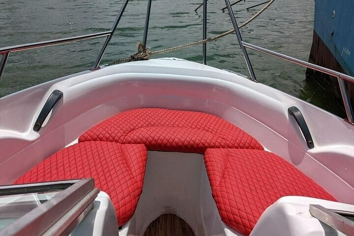 Whale Watching by Speed Boat in Mirissa, photo 2