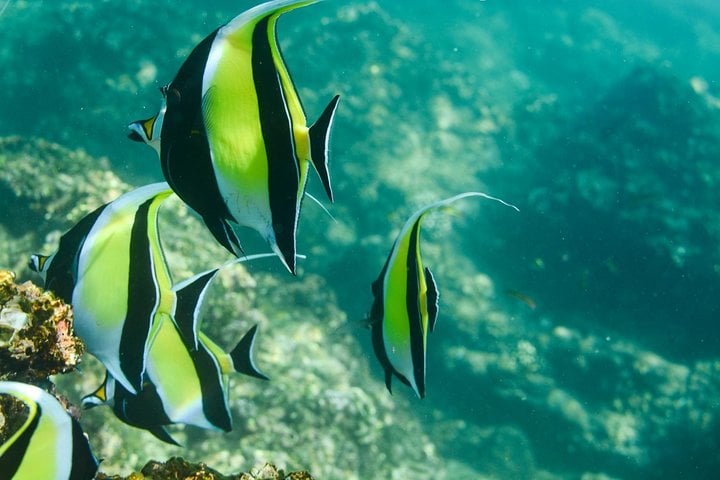 Glass Bottom Kayak and Snorkel at Santa Maria and Chileno Bay, photo 2